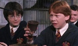 哈利一月最新爆料,娱乐圈最新爆料大起底